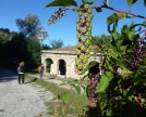 Fontana di Bagnolo -lavatoio-