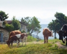 Osservatorio astronomico di Sormano