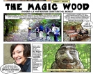 magicwood_1a