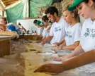 Sagra degli gnocchi 2013 Pognana