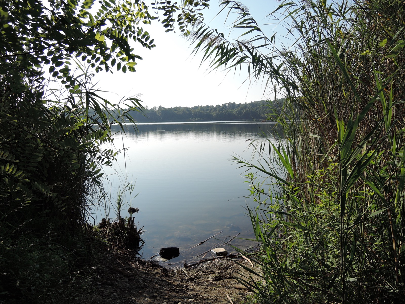 DSCN4189_1600