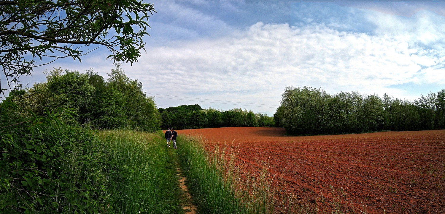 5Panorama_HDR_1500