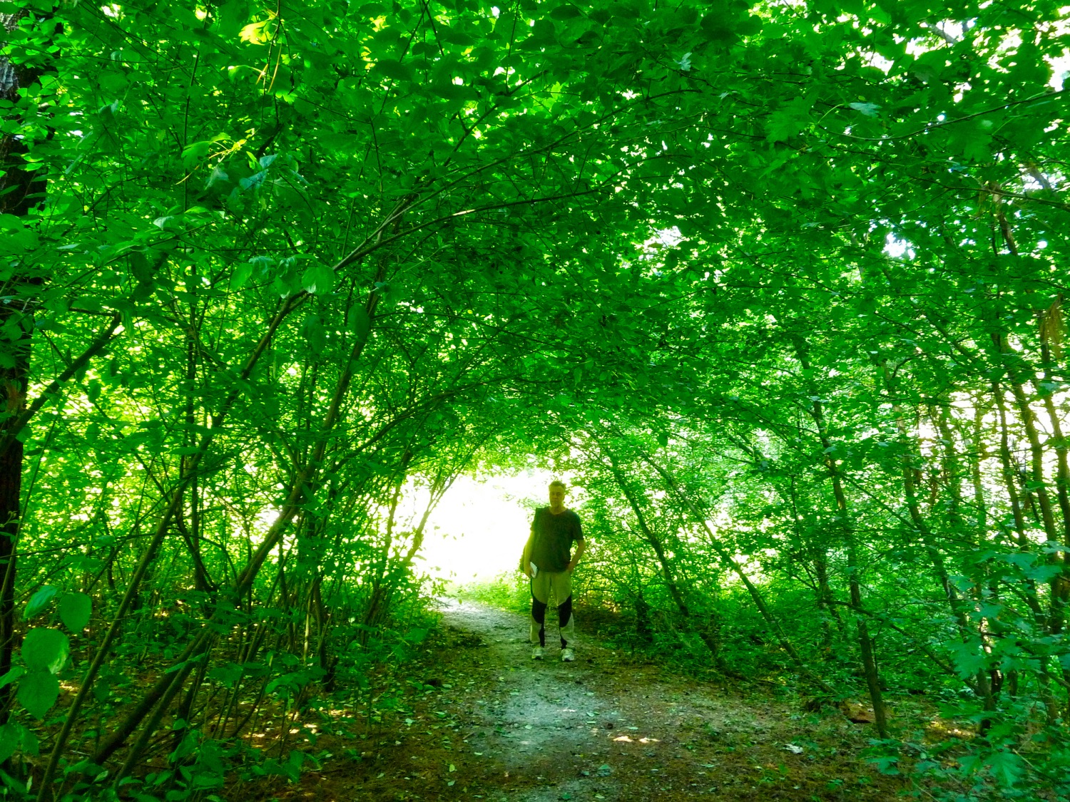 TunnelVerde Chignolo_HDR_1500